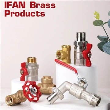 Am IFAN