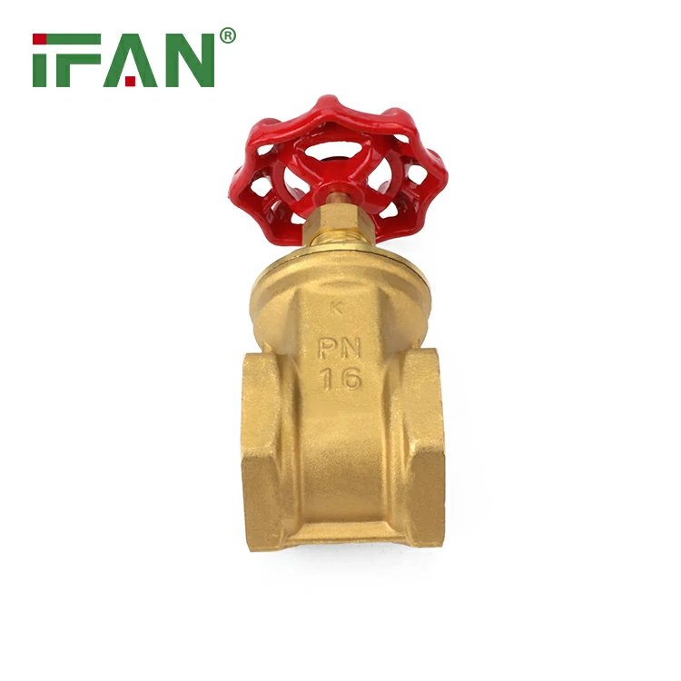 Ifan 81311 Falf Giât Pres